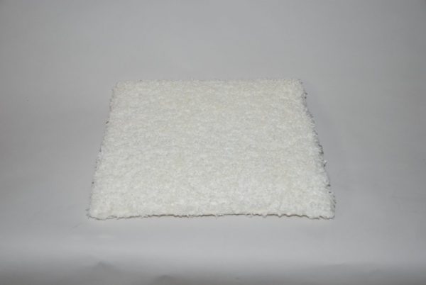 Ovis